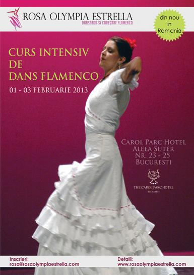 poze curs intensiv de dans flamenco cu rosa olympia estrella spania 