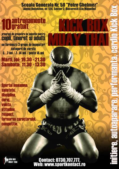 poze cursuri de arte martiale kick box si muay thai 