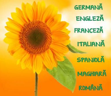 poze cursuri intensive de vara engleza germana franceza italiana 
