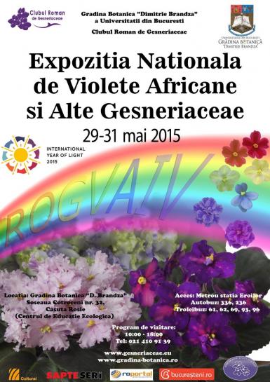 poze expozitia de violete africane si alte gesneriaceae