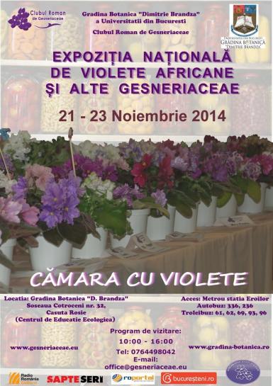 poze expozitia nationala de violete africane si alte gesneriaceae