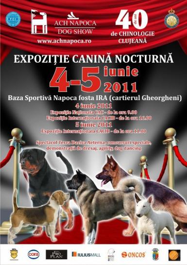 poze expozitie canina napoca dog show 2011