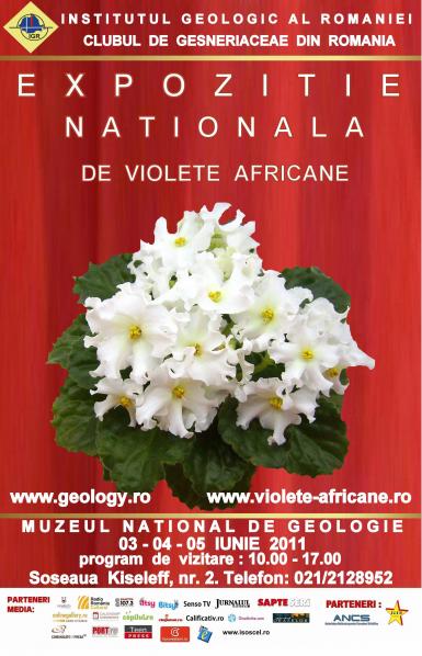 poze expozitie nationala de violete africane la muzeul national de geologie