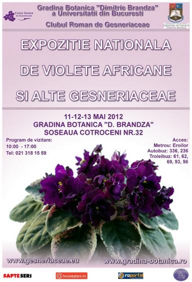 poze expozitie nationala de violete africane si alte gesneriaceae la gradina botanica
