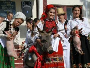 poze festival concurs de muzica populara la cicarlau