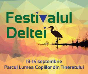 poze festivalul deltei editia a ii a