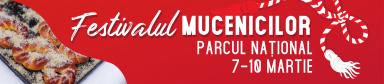poze festivalul mucenicilor a vii a editie 7 10 martie parcul national