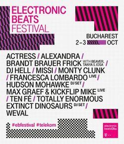poze festivalului electronic beats2015 bucuresti