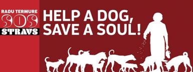 poze help a dog save a soul 