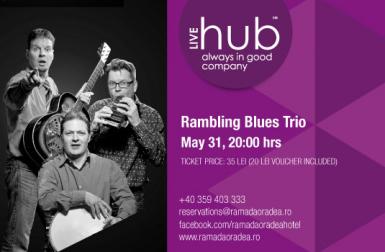 poze hub live rambling blues trio