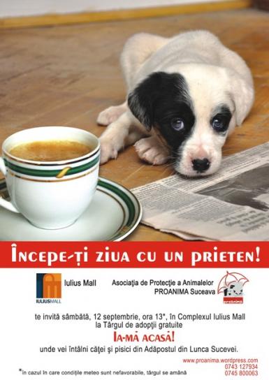 poze  ia ma acasa 