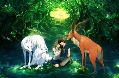 poze introducere in universul anime de la miyazaki la shinkai 