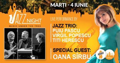 poze jazz trio live w oana sirbu music under the tree