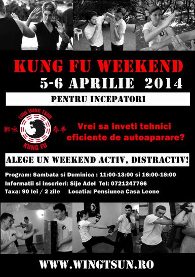 poze kung fu weekend curs de autoaparare pentru incepatori