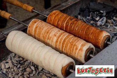 poze kurtos fest 2017 