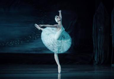 poze lacul lebedelor saint petersburg classical ballet