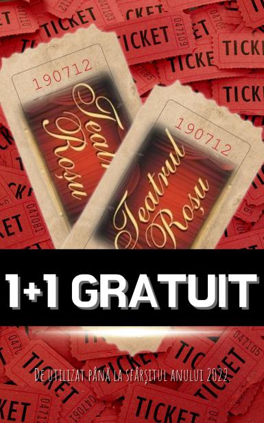 poze maraton de reduceri 1 1 gratuit bilete la teatru