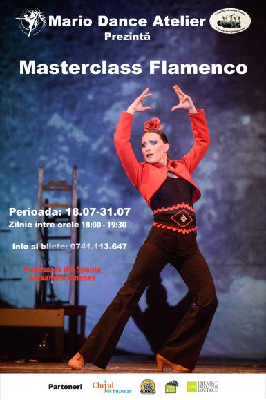 poze masterclass flamenco la cluj 