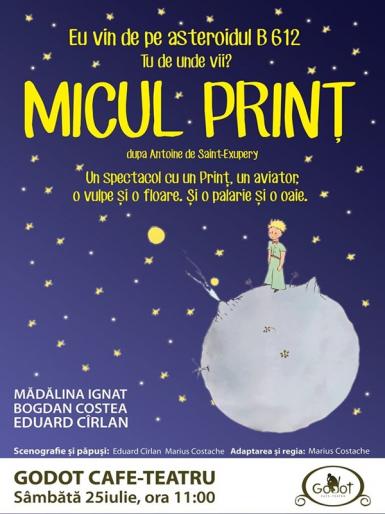 poze  micul prin dupa antoine de saint exupery