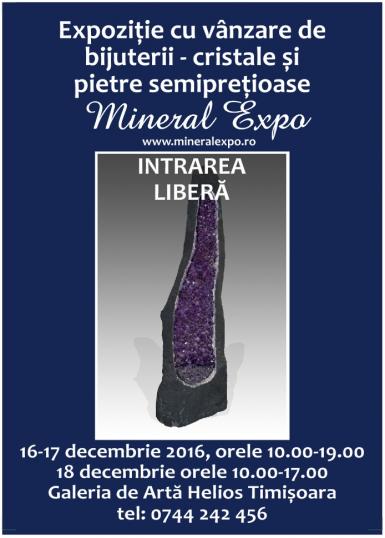poze mineral expo