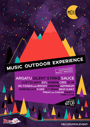 poze music outdoor experience 2015 