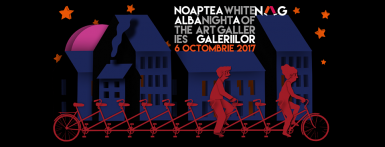 poze noaptea alba a galeriilor cluj napoca