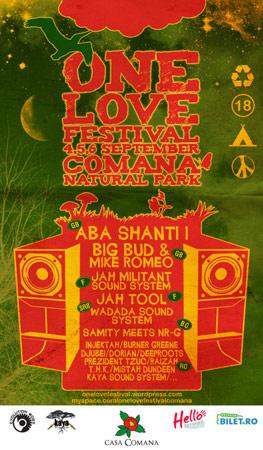 poze one love festival