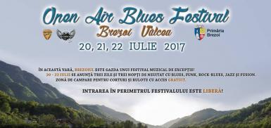 poze open air blues festival brezoi 