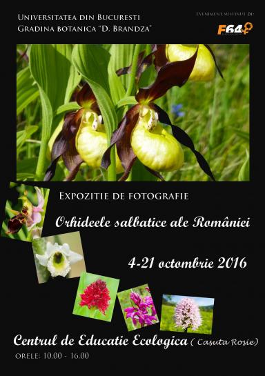 poze orhideele salbatice ale romaniei expozitie foto 