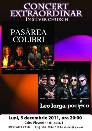 poze pasarea colibri leo iorga pacifica concert extraordinar