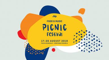 poze picnic festival 2018