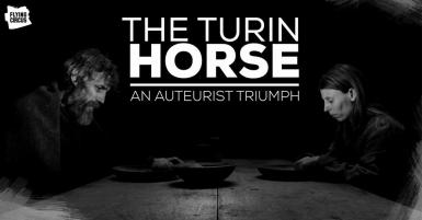 poze projection the turin horse flying circus lounge