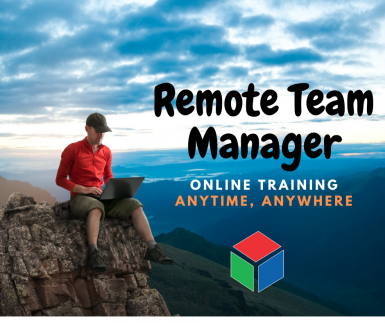 poze remote team manager