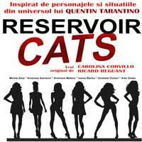 poze reservoir cats cinema pro bucuresti