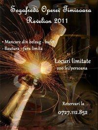 poze revelion 2011 segafredo