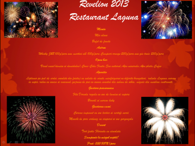 poze revelion 2013 restaurant laguna