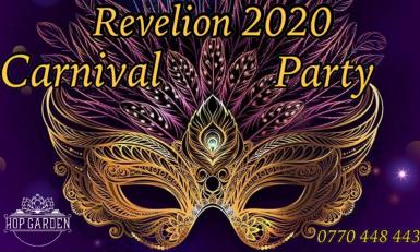poze revelion 2020 carnival party by hop garden
