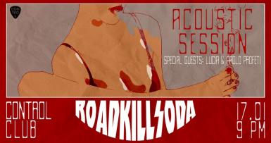 poze roadkillsoda acoustic session
