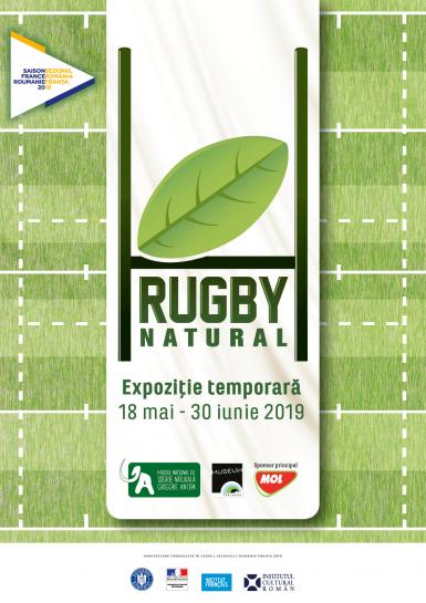 poze rugby natural 