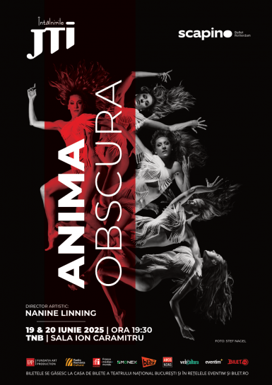 poze scapino ballet rotterdam la intalnirile jti