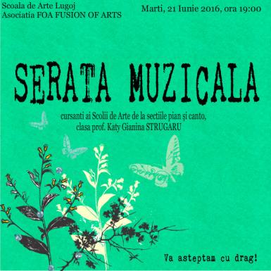 poze serata muzicala