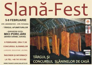 poze slana fest 2014 la cluj napoca