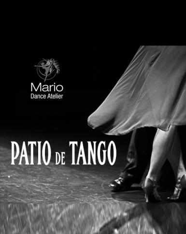 poze spectacol patio de tango 