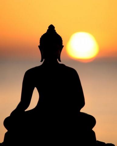 poze tabara de meditatie vipassana si training autogen
