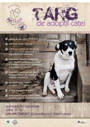 poze targ de adopti catei