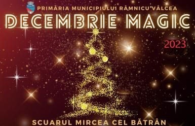 poze targul decembrie magic 2023