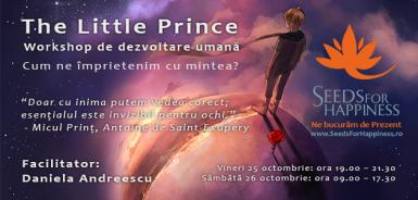 poze the little prince cum ne imprietenim cu mintea 