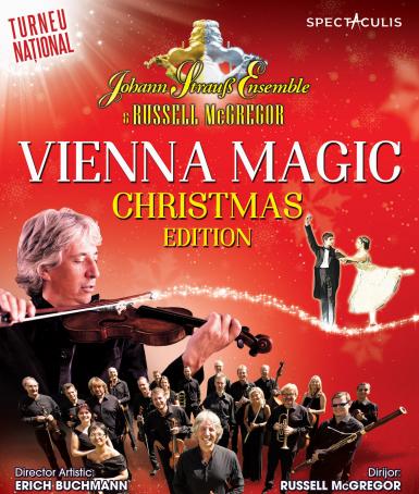 poze vienna magic christmas