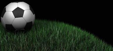 poze vizionare meci de fotbal dinamo steaua