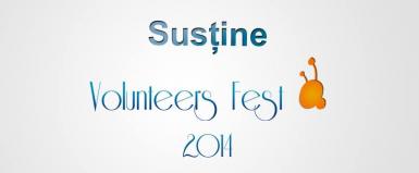 poze volunteers fest 2014 la bucuresti